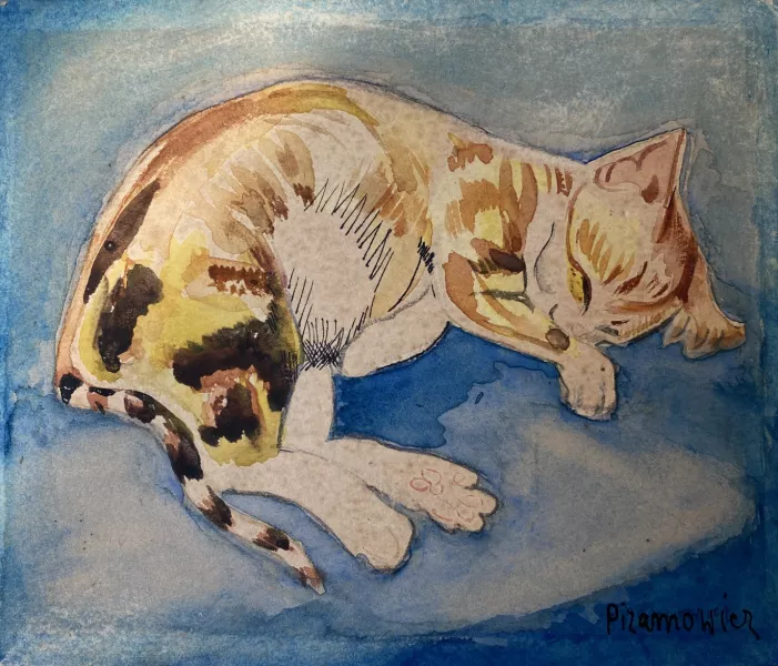 Le chat 