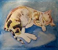 Le chat 