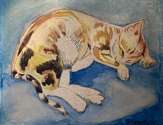 Le chat 