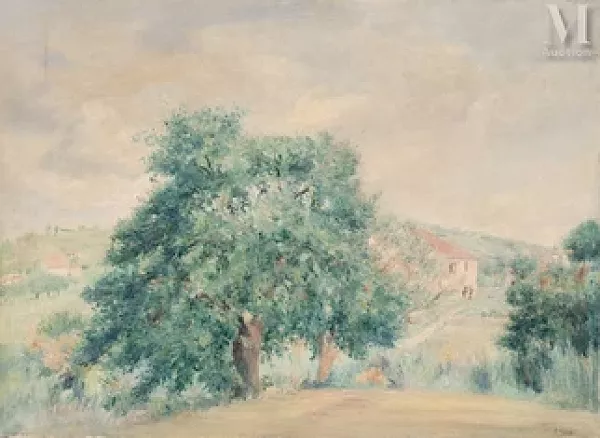 Paysage de campagne