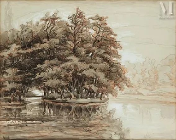 Les arbres au bord de l’eau