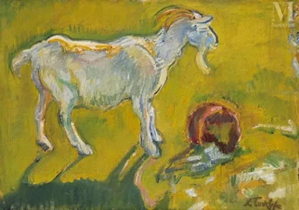 Chèvre blanche au pâturage