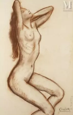 Le modèle nu