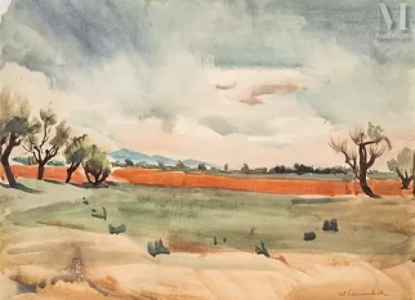 Paysage du Midi