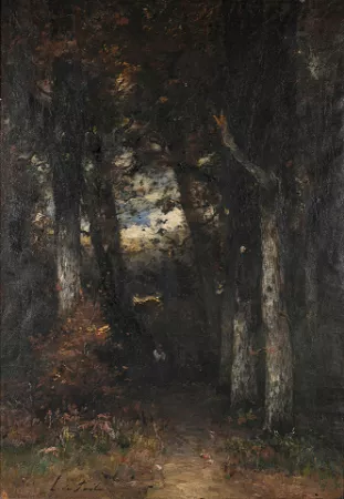 Promeneur dans la forêt de Fontainebleau