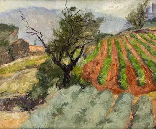 Paysage, environs de Ménerbes