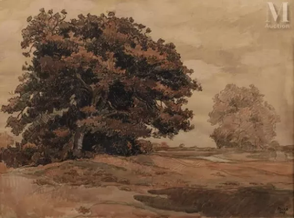 Châtaignier dans un paysage