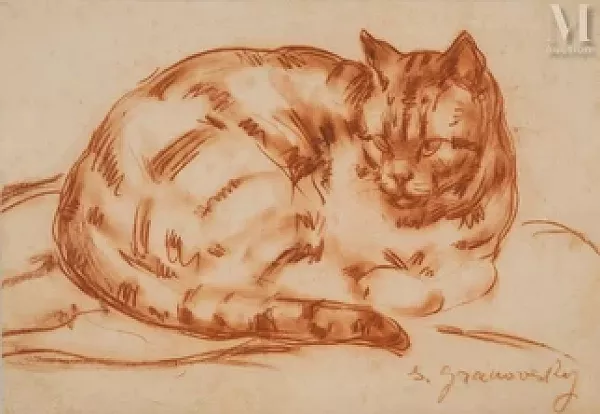 Le chat