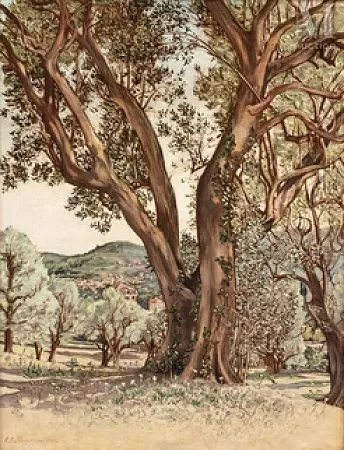 L'eucalyptus, environs de Cannes