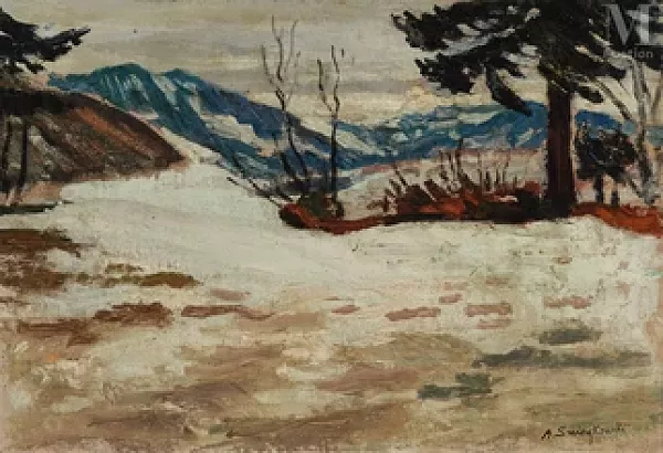 Paysage de neige en Haute-Savoie
