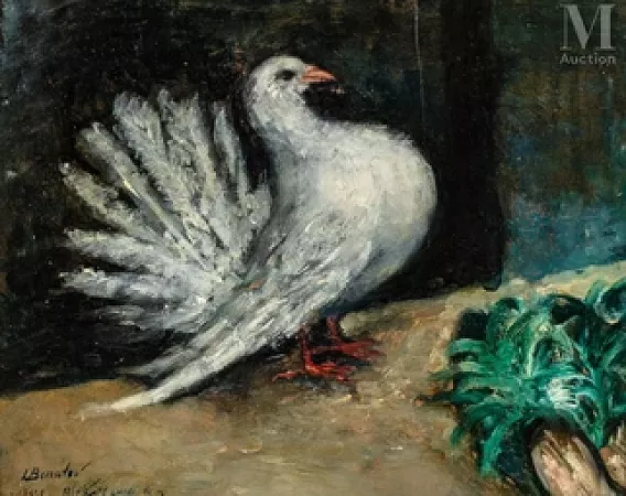 La parade du pigeon