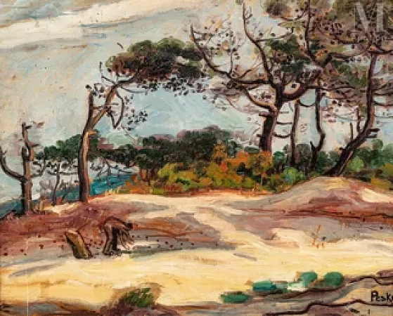 Les pins en Provence