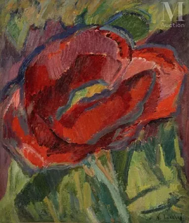 Coquelicot