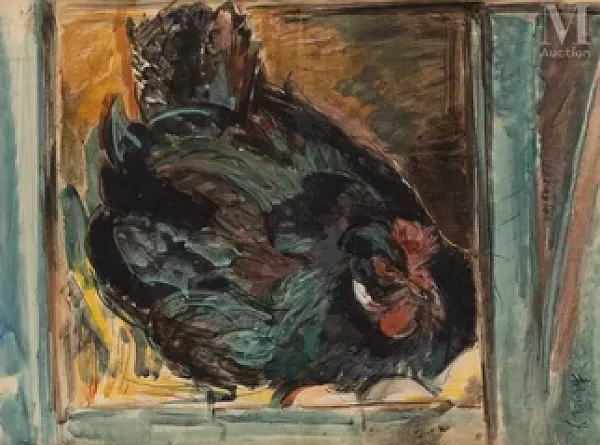 Poule noire pondeuse