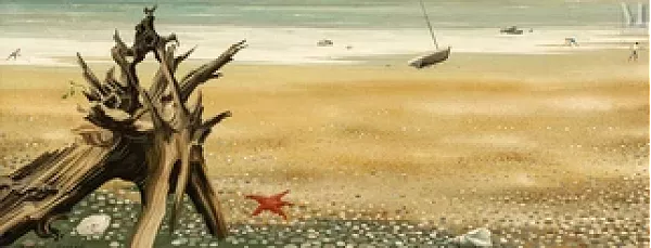 Bord de mer et coquillages