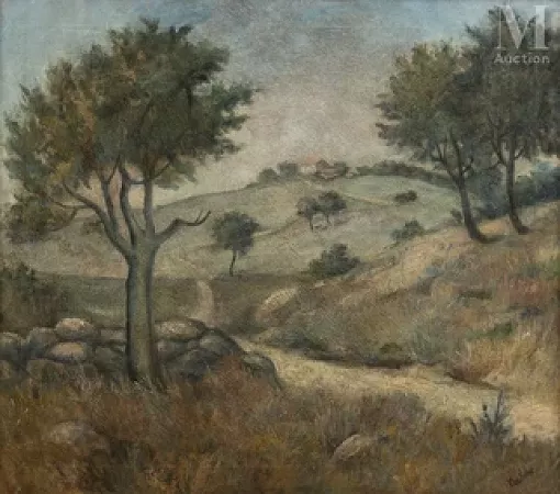 Paysage de Provence