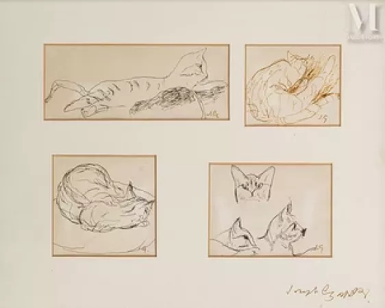 Études de chat