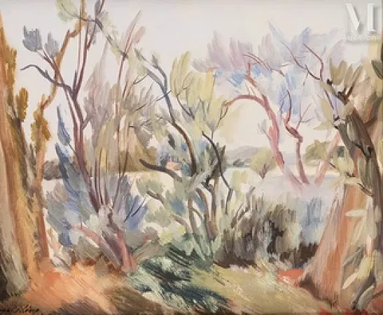 Paysage du sud