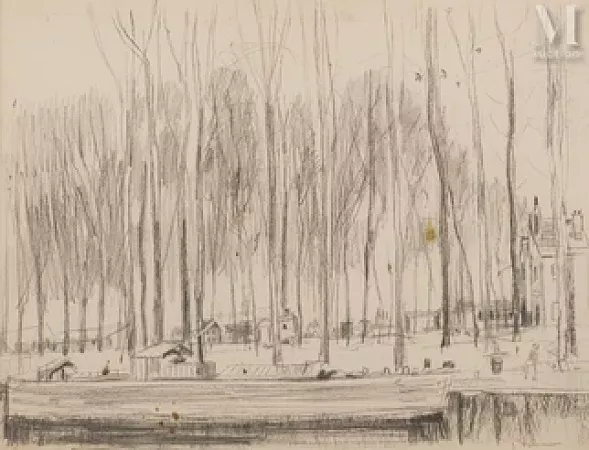 Les arbres en hiver