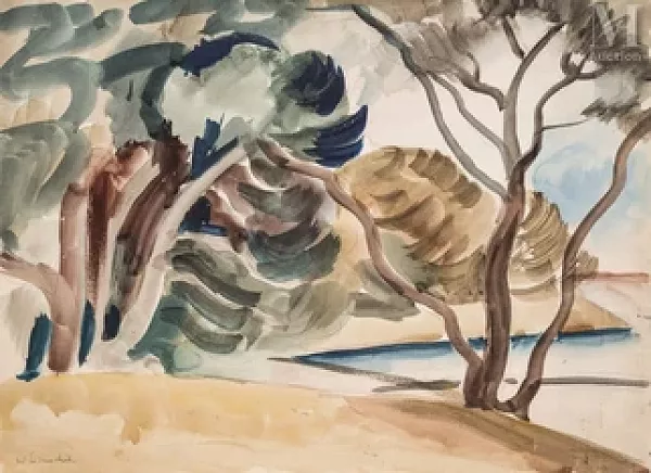 Les pins au bord de la Méditerranée