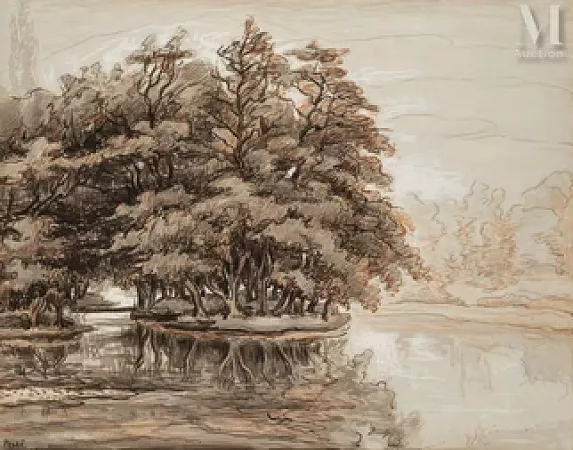 Les arbres au bord de l’eau