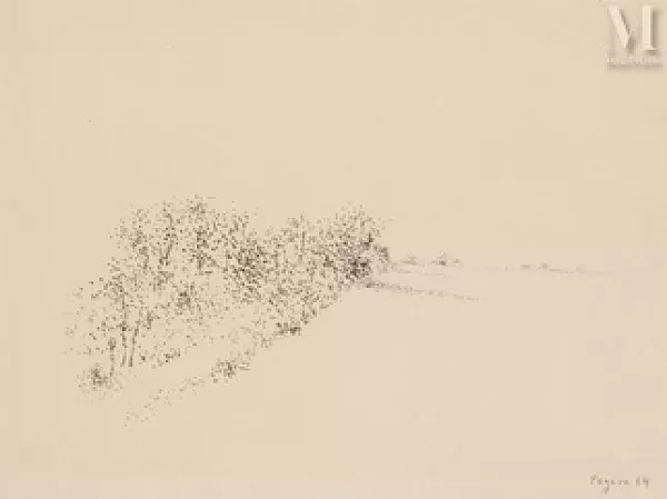 La haie