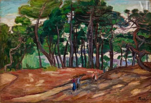 Balade dans la forêt à Collioure