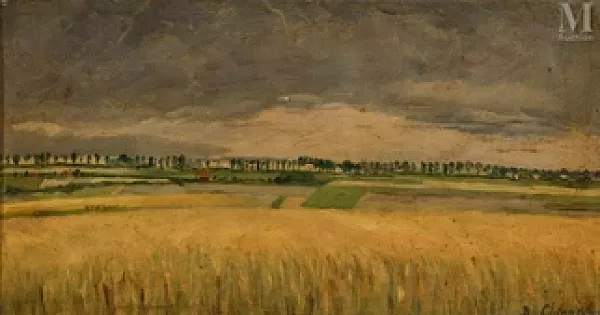 "Open fields"
