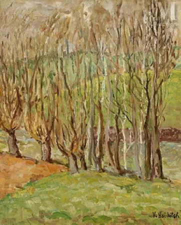 Sous-bois