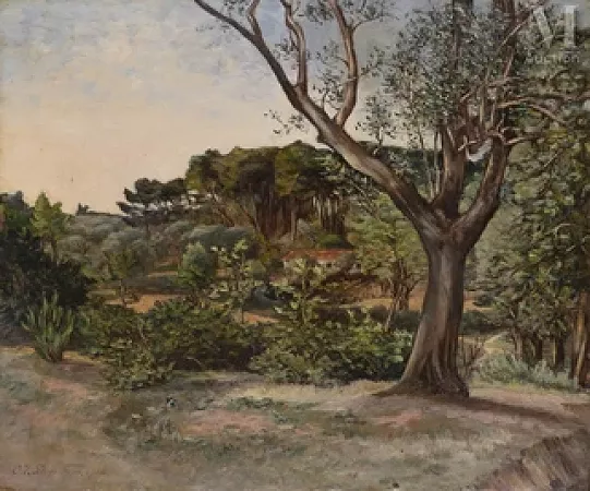 Paysage sur les hauteurs de Cannes