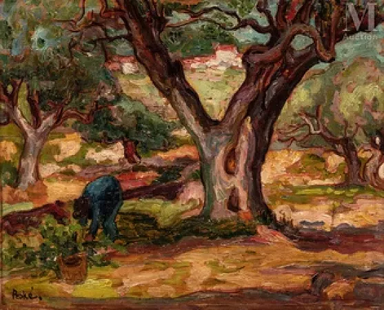 La cueillette des olives