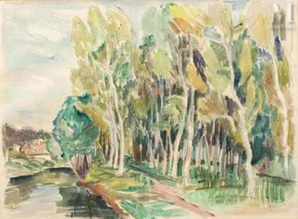 Chemin arboré en bord de rivière