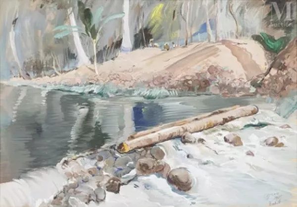 Torrent à Tahiti