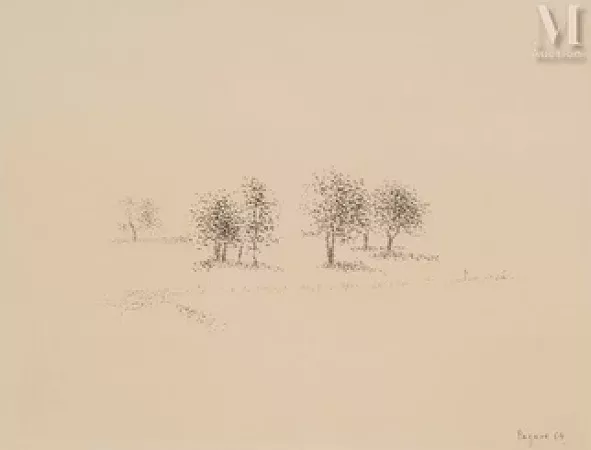 Les arbres
