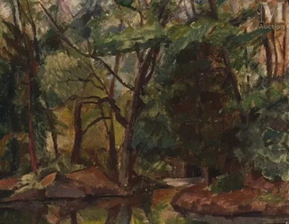 Forêt à Saint-Paul-de-Vence