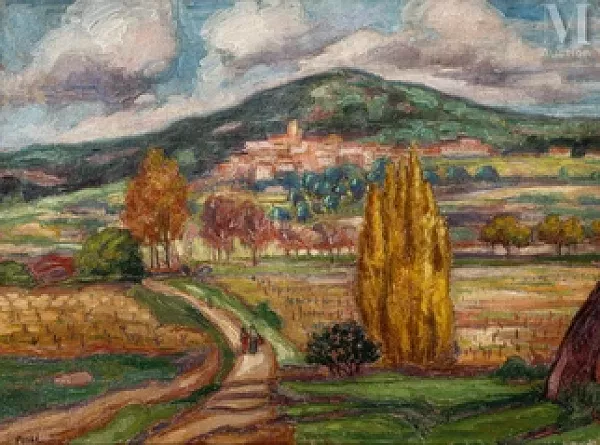 La plaine de Bormes-les-Mimosas