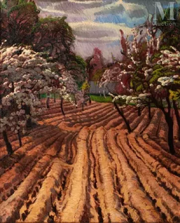 Arbres fruitiers en fleur