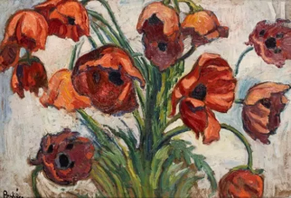 Les coquelicots