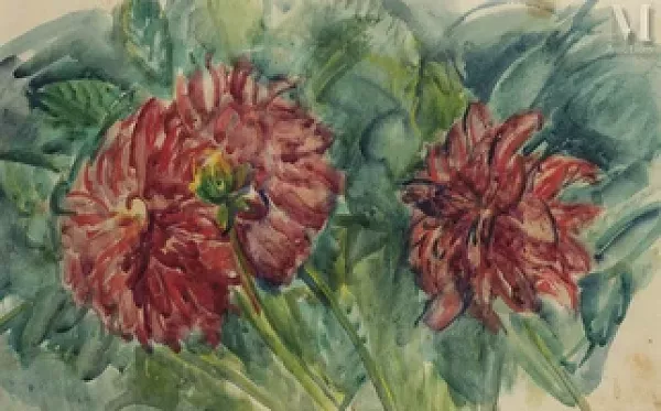 Les dahlias